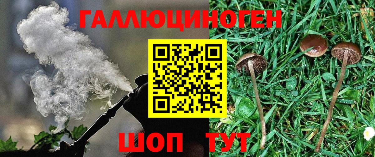 Псилоцибиновые грибы Cubensis Изобильный